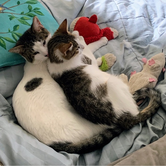 😍See something you must have? - Picture 16 of 16